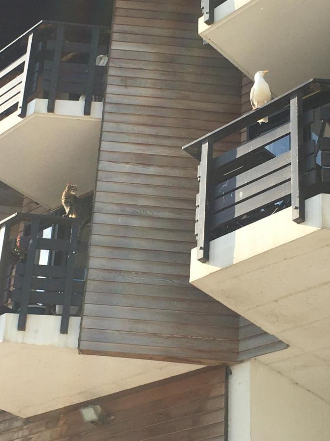 Mon Balcon Face A La Mer - Les Marinas Deauville Ngoại thất bức ảnh